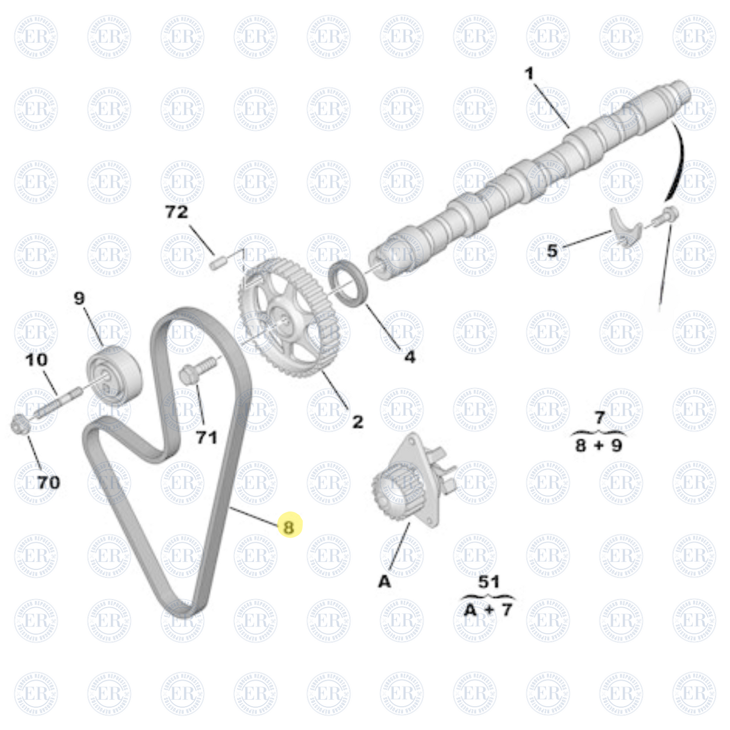 Correa Distribución Motor 104 dts